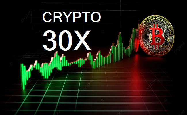 Crypto30x: Everything You Need to Know Before Using the Platform