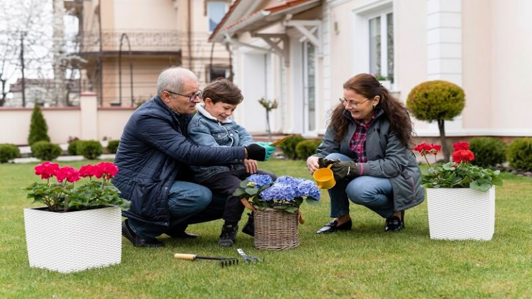 Garden Guide Homenumental: Complete Guide to a Beautiful Home Garden